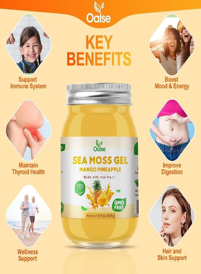 OALSE Sea Moss Gel - 18.5OZ Mango Pineapple Flavor Sea Moss Gel Raw Nutritious Rich in 102 Vitamins and Minerals, Proteins & Vitamins, Vegan-Friendly - Image 2
